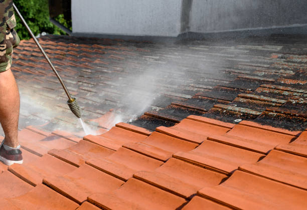 Best Sidewalk Pressure Washing  in Ravenel, SC